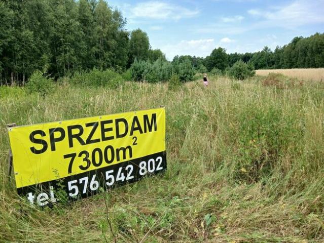 Dzialka 7300 m PIĘKNA OKAZJA >>