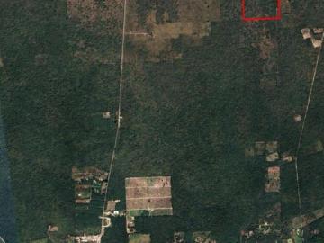 dzidzantun yucatan 60 HAS en venta inmuebles lotes hectareas