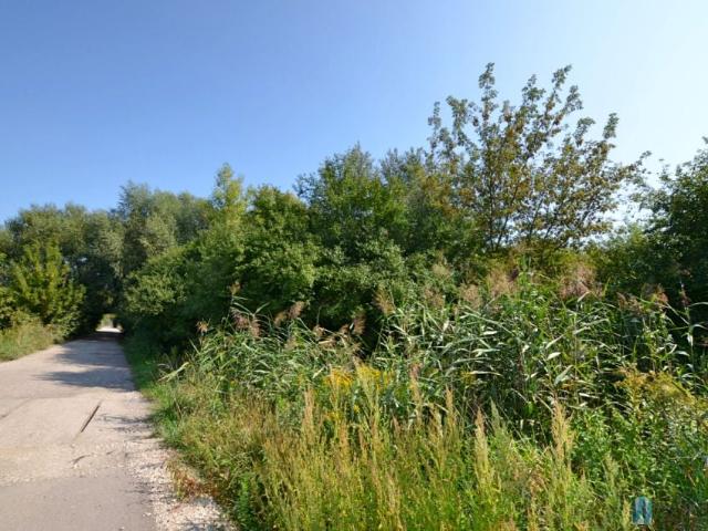 Dziekanów Polski 1 800 m², Łomianki