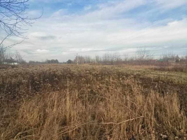 Dziekanów Polski, 989 m2