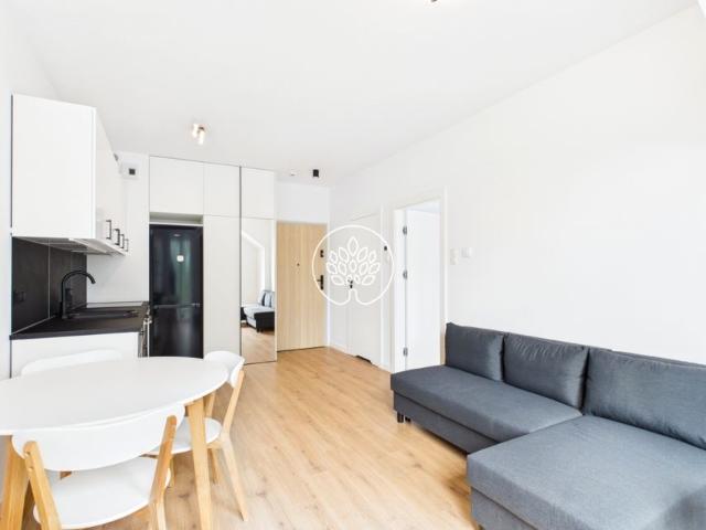 Dzikiej Gęsi 33 m², Osielsko