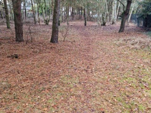 Dzikiej Róży 1 620 m², Kamionki