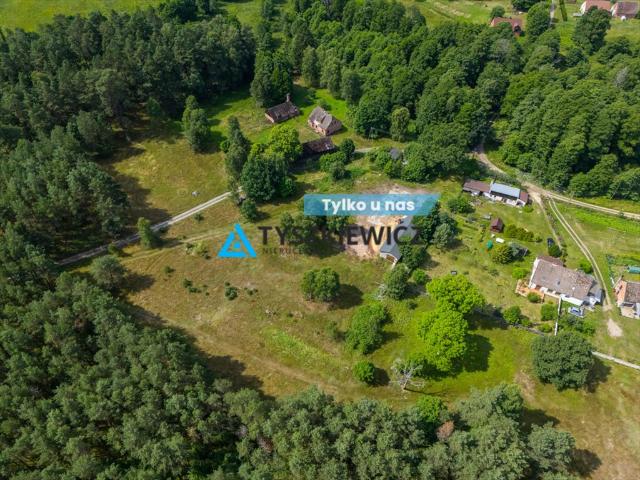 Dzików, 6 000 m2