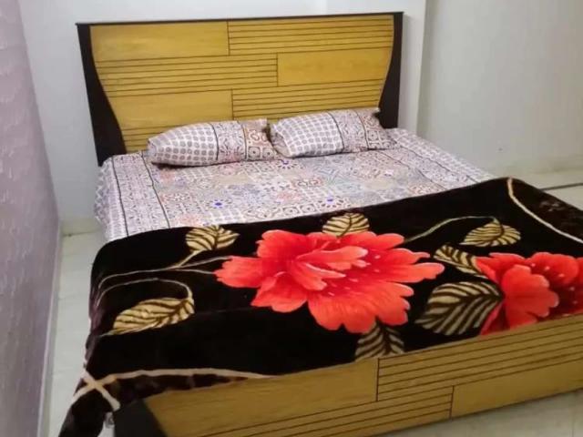 E11/4 2 bed For Rent Available Islamabad F 11 ID 33978