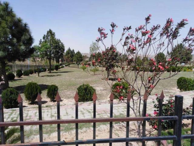 E18 Gulshan E Sehat Islamabad back open plot Islamabad E 18 ID 66699