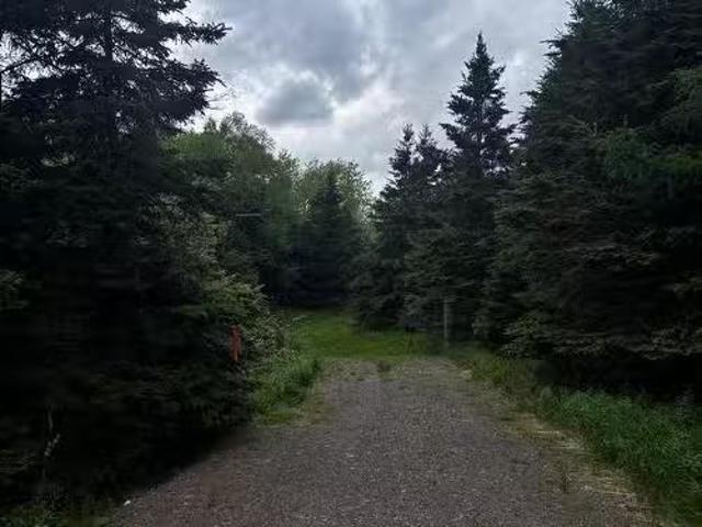 E Matheson Road, Lansdowne Station, NS, B0K 2A0 vacant land.