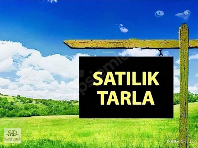 Çeşme alaçatı'da yola cepheli satılık tarla. SALİH DERLİ