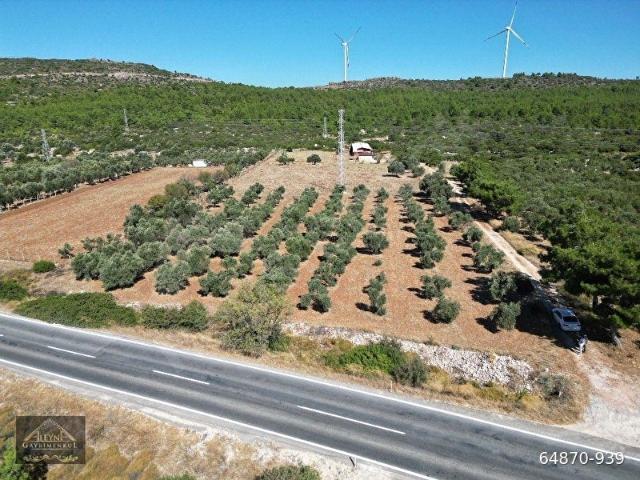ÇEŞME GERMİYAN DA ANA YOLA 70 M CEPHELİ SATILIK 14.000 M2 TARLA