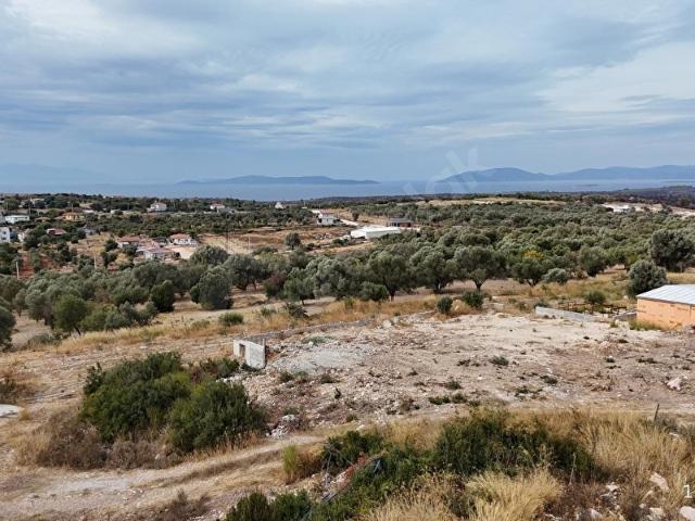 Çeşme Germiyan'da Fırsat Satılık Tarla