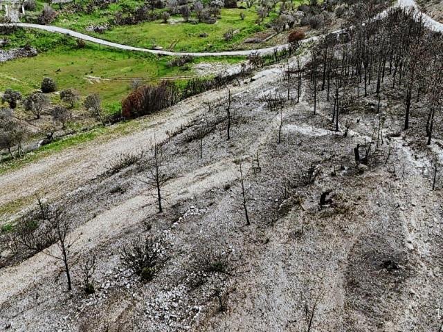 Çeşme Germiyan'da Satılık Tarla