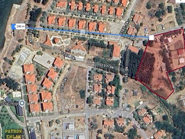 ÇEŞME ILDIR'DA DENİZE 300 METRE MESAFEDE SATILIK 290 M2 TARLA HİSSESİ