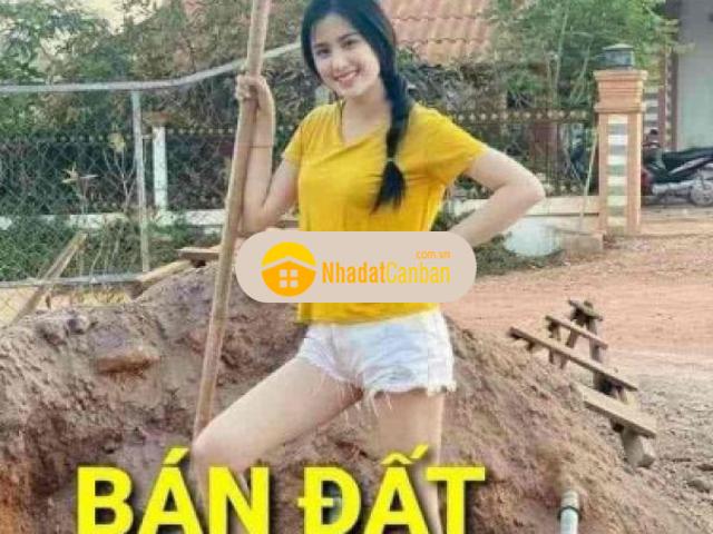 E chính chủ cần bán đất mặt đường 206 giai phạm