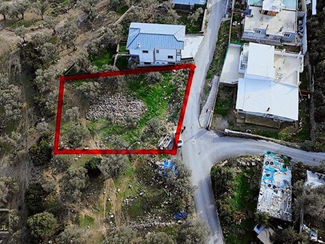 Eğridere Mahallesinin Girişinde Kadastral yola Cepheli Parseller