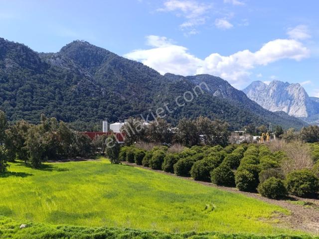 Eşyalı, Havuzlu, Doğa Manzaralı Masrafsız 3+1 Satılık Daire