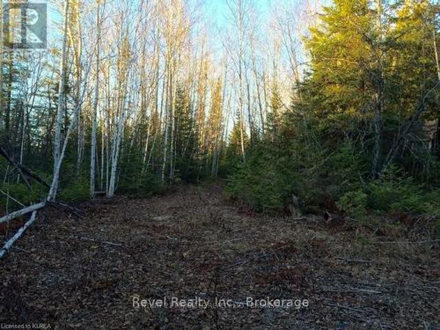 0 Lilac Road At Pigeon Lake Road, Kawartha Lakes Ops, ON, K9V 4R3 vacant land for sale | Listing ID X13492 | Royal LePage