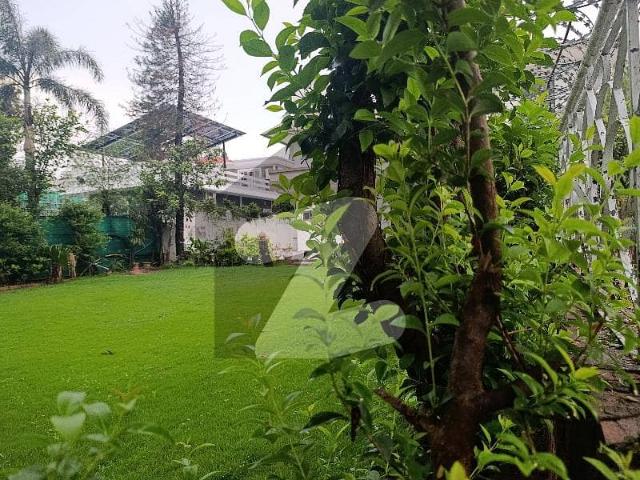 E 7 1244 Sq yards House Available 80*140 Close And Street