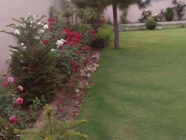 Eco commercial Bahria town Rawalpindi Islamabad Bahria Town ID 25145