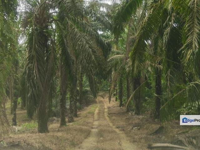 Eco Business Park 2