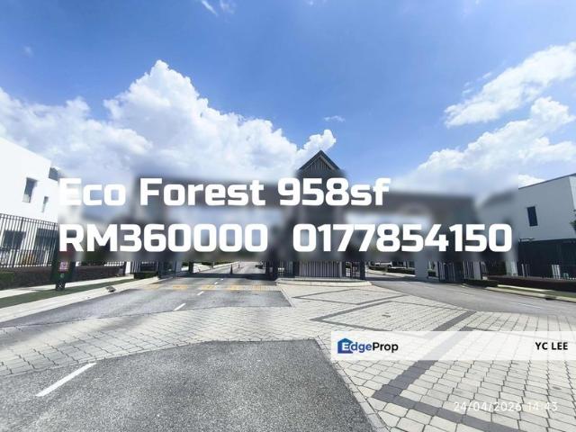 Eco Forest