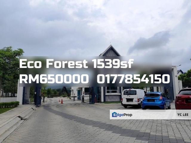 Eco Forest