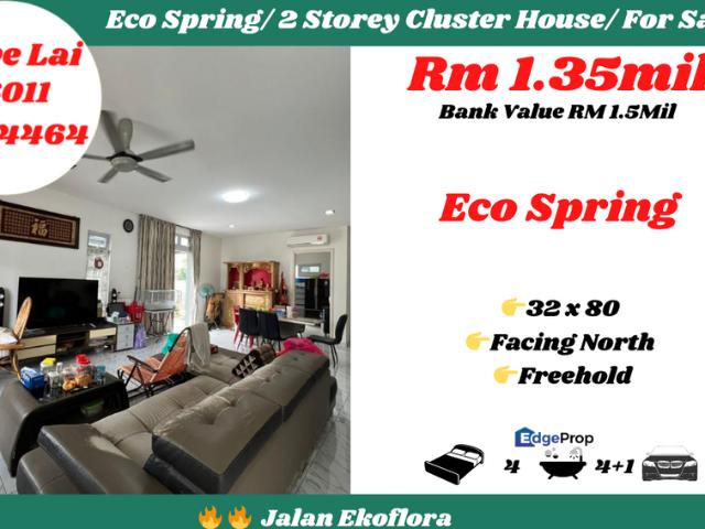 Eco Spring