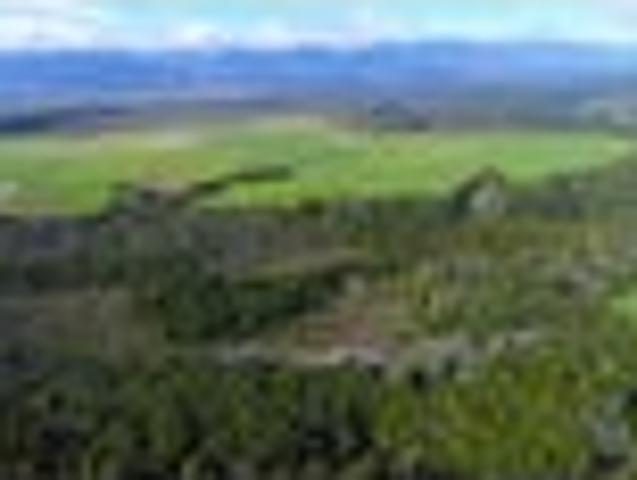 Eco Paradise Awaits
