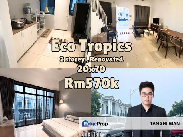 Eco Tropics