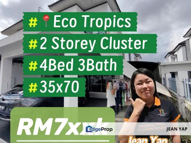 Eco Tropics