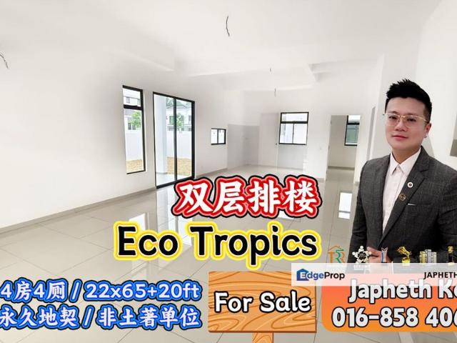 Eco Tropics