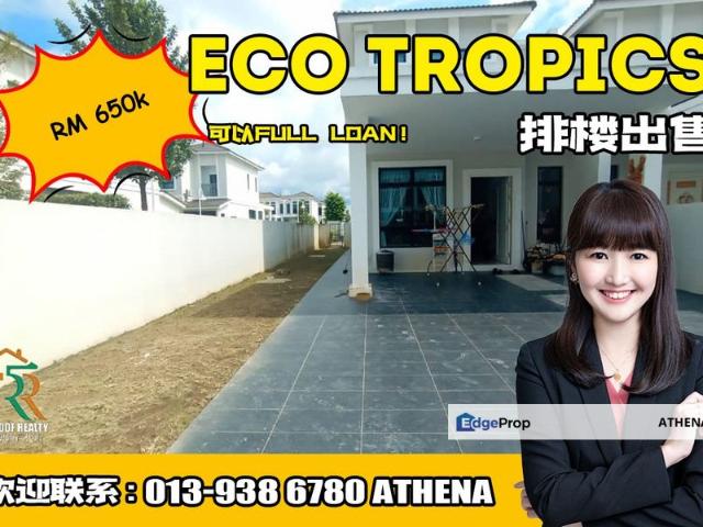 Eco Tropics