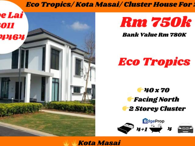 Eco Tropics