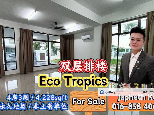Eco Tropics