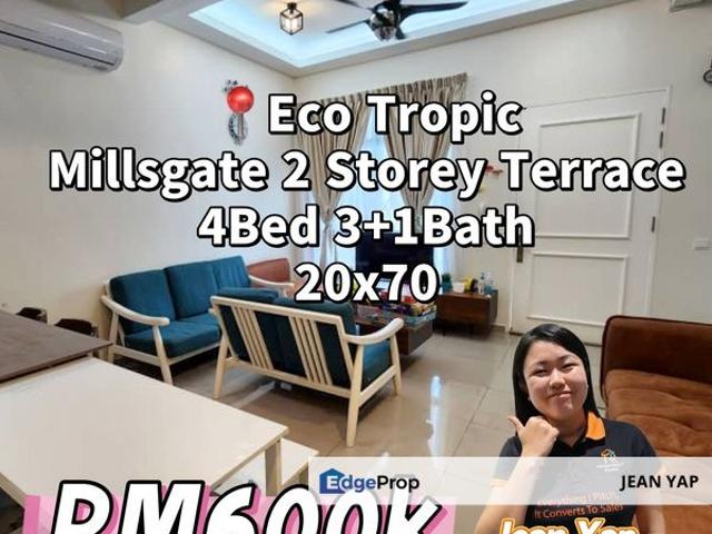 Eco Tropics