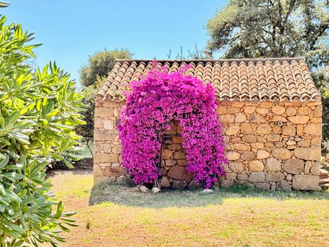 ECCICA SUARELLA Corse: Maison T4, caseddu en pierre, garage, terrain piscinable, vue dégagée