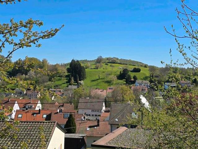 Echtholzhaus mit wunderschönem Ausblick in Reutlingen Bronnweiler