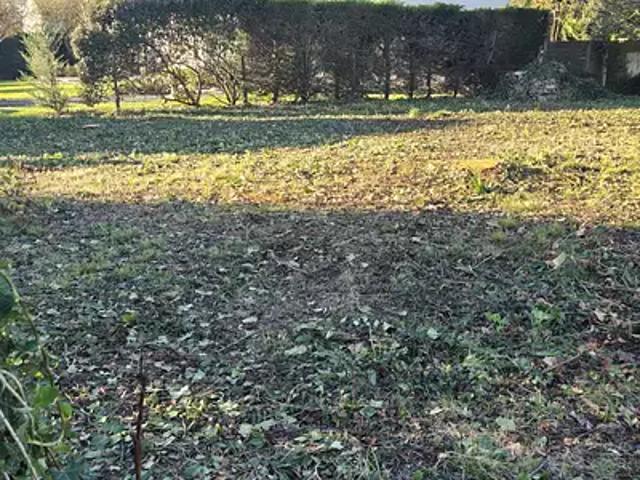 Echillais 17620 Programme neuf terrain neuf à vendre
