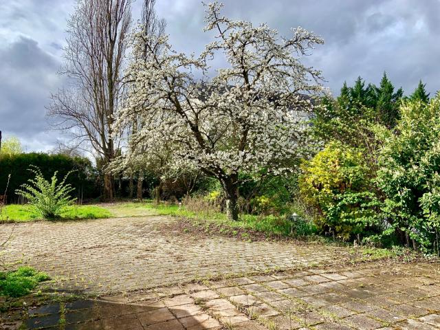 Eckbolsheim Vente Terrain 67