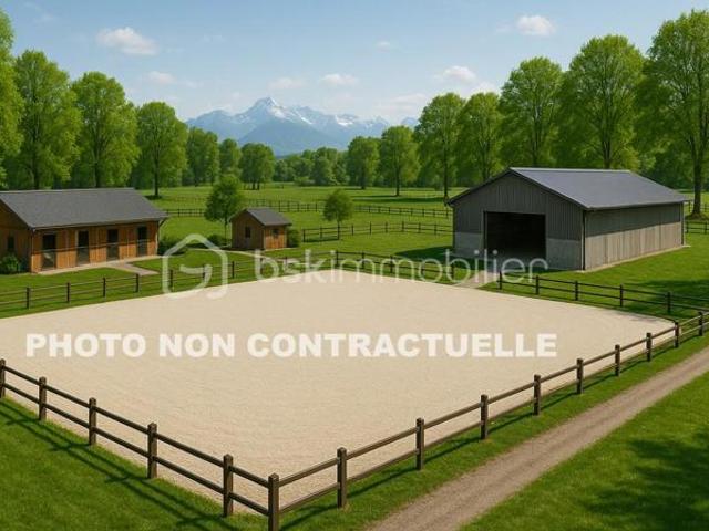 Ecurie en activité proche Genève Ain 01