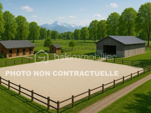 Ecurie en activité proche Genève Ain 01