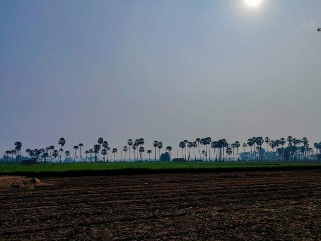 East Facing Plots Near ma 178 Sq. Yd. Plot in Kattubadipalem Krishna Listing ID #8202