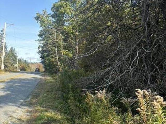 East Petpeswick Road, East Petpeswick, NS, B0J 2L0 vacant land for sale | Listing ID 202504 | Royal LePage
