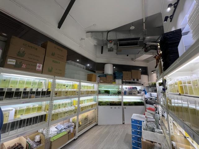 East Village Mall Shop For Sale, $750,000183 sqft $4,098.00 psf