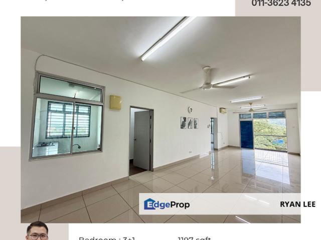 Eastbay Luxury Apartment