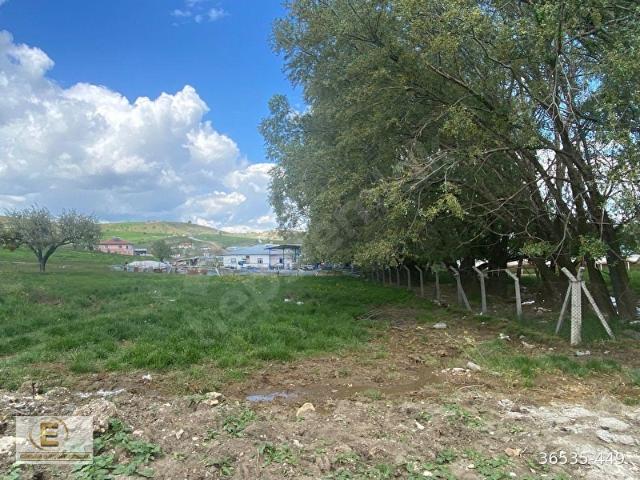 EBRAR GAYRİMENKUL'DEN BAĞLUM KÖPRÜ MEVKİİNDE TEL ÖRGÜLÜ 2325 M2 TARLA