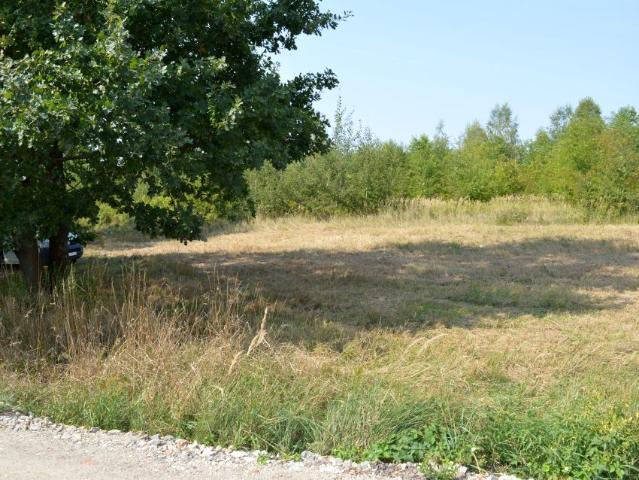 Żegoty 1 301 m², Mielec