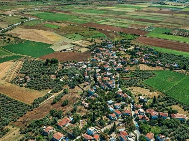 ege nin kalbinde foça bağarasında satılık