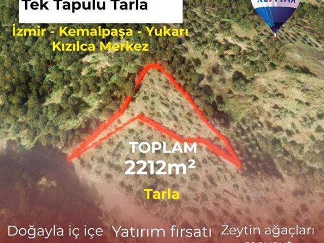 EGE'DE TARİH VE DEĞERİN KESİŞTİĞİ YATIRIMLIK ZEYTİNLİK