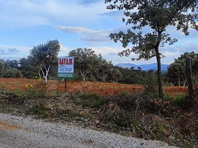 Ege'den MuğlaYatağan Deştin mahallesi asfalt yol cepheli zeytin