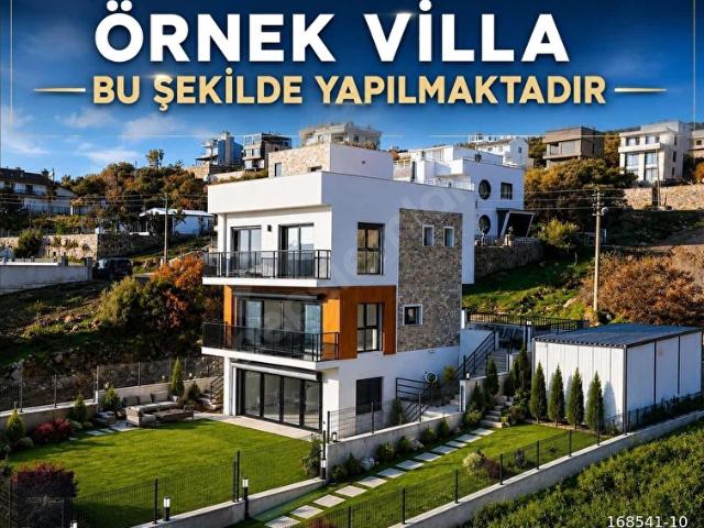 Egenin yükselen değeri İzmir Dikili Çandarlıda