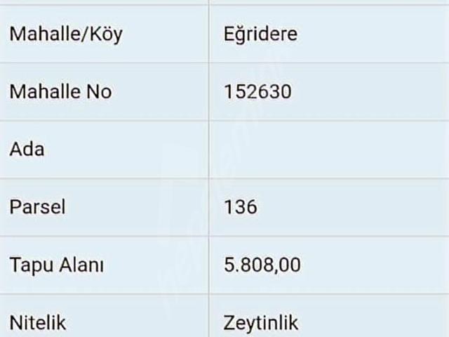 egridere'de mükkemel yatırımlık